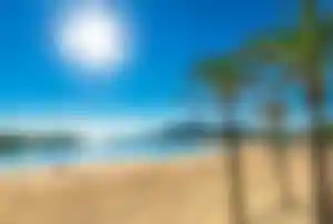 Bucht auf Mallorca mit kristallklarem Wasser und Palmen am Strand