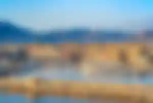 Hafen und Altstadt von Palermo auf Sizilien während eines Italien Urlaubs