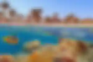 Korallenriff mit bunten Fischen vor einem Strandhotel am Roten Meer – beliebtes Ziel für Badeurlaub in den Herbstferien in Ägypten