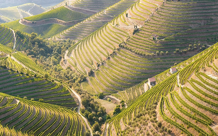 Reise nach Portugal