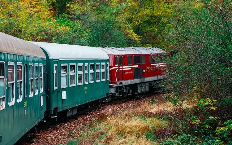 Schmalspurbahn mit grünen und roten Waggons fährt durch herbstliche Waldlandschaft