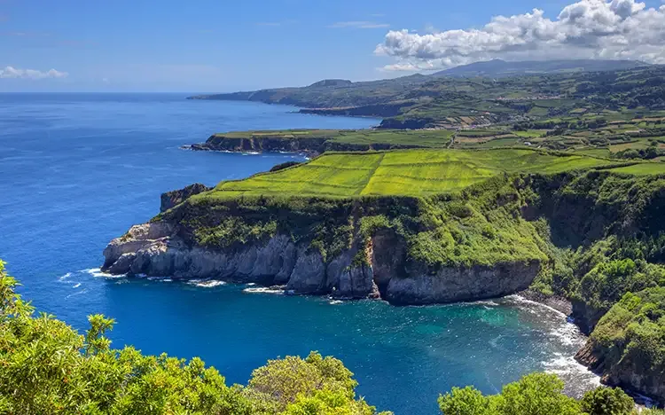 Steilküste mit grünen Feldern und tiefblauem Atlantik auf der Insel São Miguel.