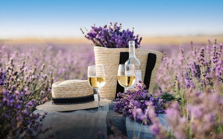 Picknick mit Wein im Lavendelfeld