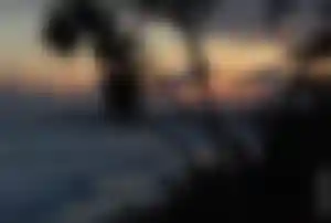 Sonnenuntergang über dem Meer in Sri Lanka mit Palmensilhouetten während einer Ayurveda-Kur