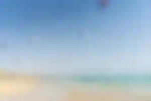 Kites am Strand von Playa Sotavento auf Fuerteventura bei idealen Bedingungen für Kitesurfer