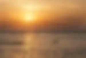 Delfine schwimmen im Meer bei Sonnenuntergang vor orangefarbenem Himmel auf den Malediven