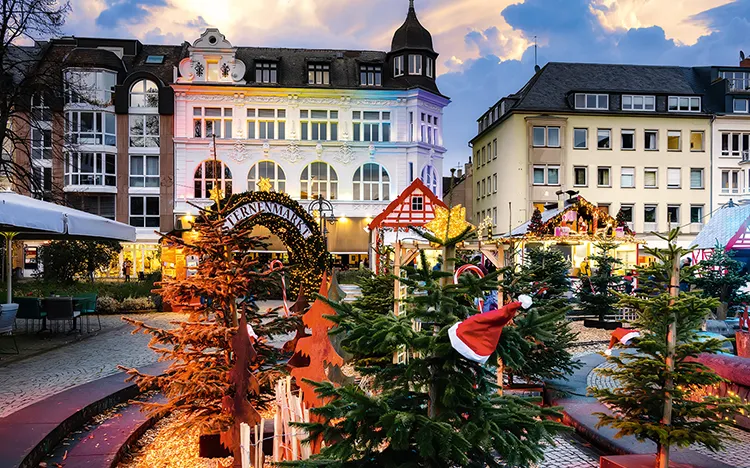 Weihnachtsbäume am Weihnachtsmarkt in Koblenz, Deutschland