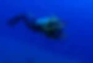 Einzelner Taucher im tiefblauen Wasser beim Tauchen auf den Malediven