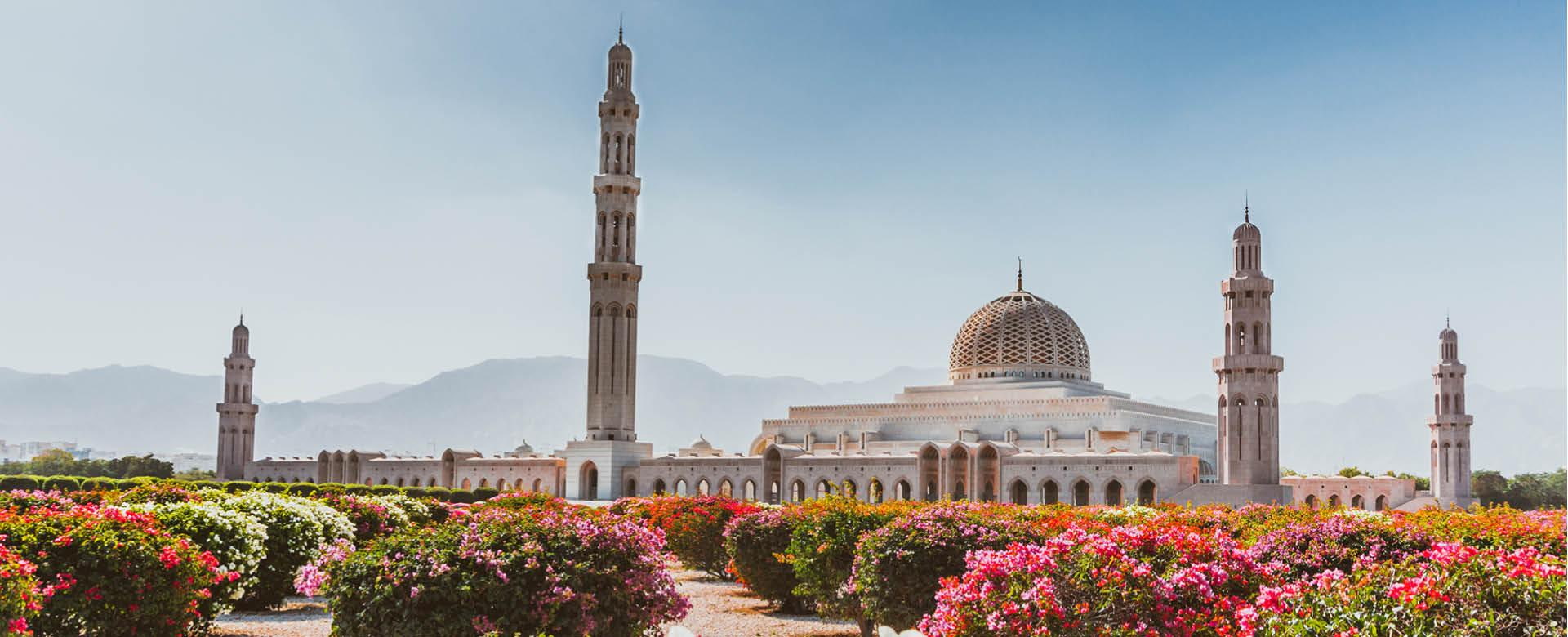 Morgenblick auf die Sultan Qaboos Grand Moschee in Muscat, Oman. Blühende Büsche im Vordergrund, Berge hinter der Moschee