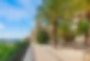 Promenade mit Palmen und historischen Gebäuden in Tarragona an der spanischen Mittelmeerküste.
