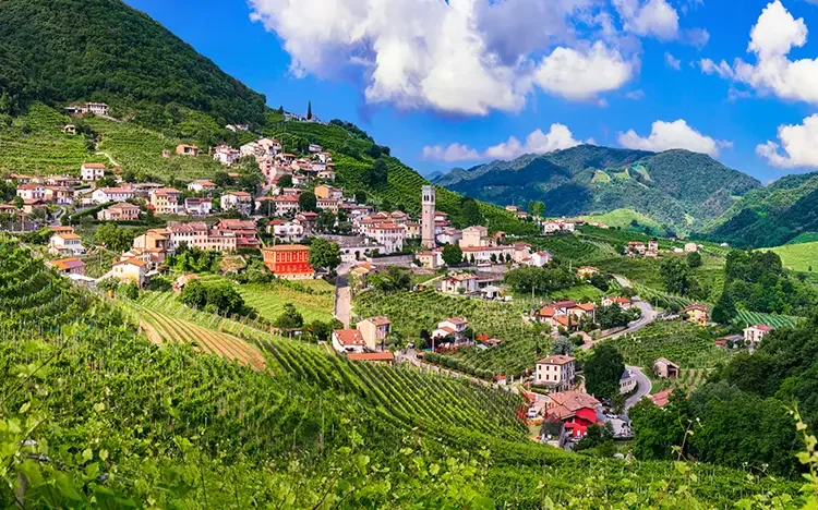Panoramablick auf die Weinberge und Hügel des Prosecco‑Gebiets rund um Valdobbiadene.