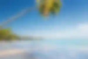 Schaukel an einer Palme am weißen Sandstrand in Thailand – Thailand All Inclusive Reise
