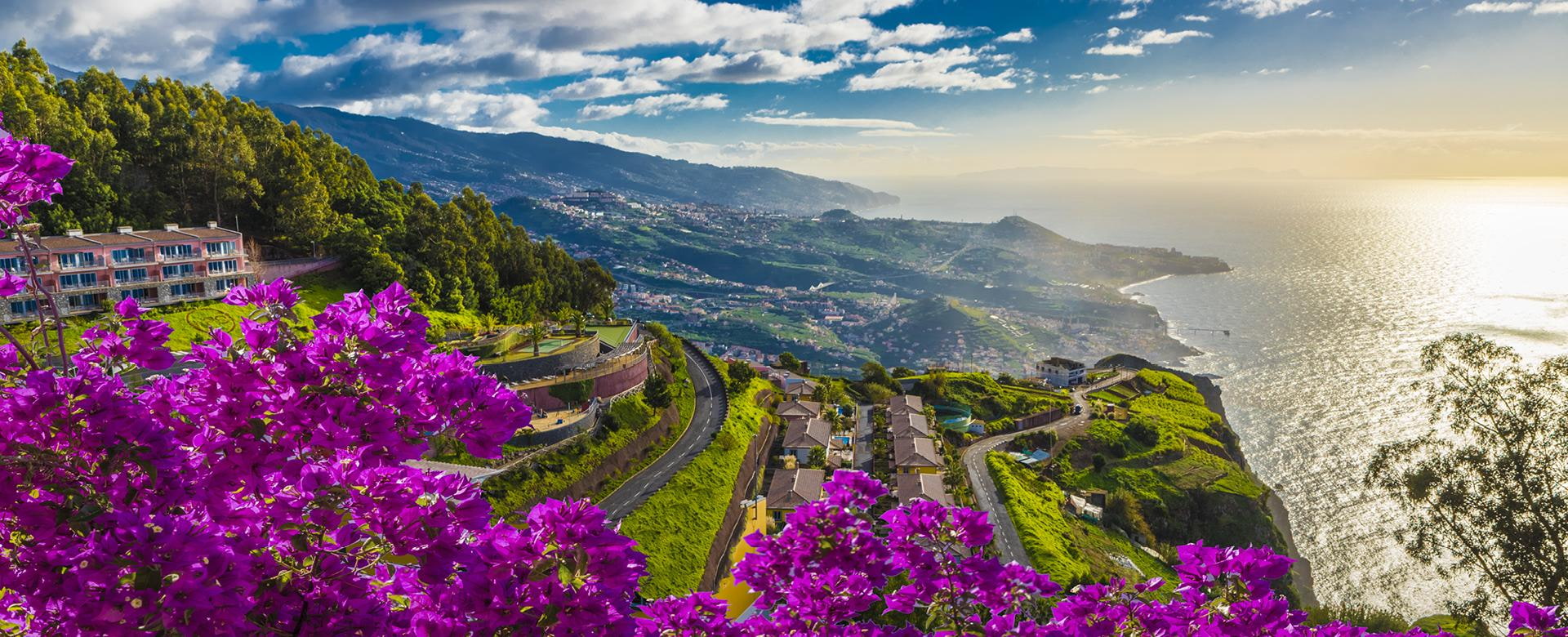 Blumen auf Madeira