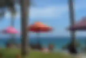 Blick auf das türkisblaue Meer mit Palmen und Sonnenschirmen in Sri Lanka während einer Ayurveda-Kur