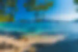 Sandstrand auf Mallorca mit kristallklarem Wasser, Pinien und vor Anker liegenden Segelbooten