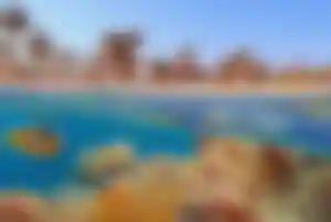 Korallenriff im Roten Meer mit bunten Fischen und Strandresort – Ägypten als warmes Reiseziel im Winter