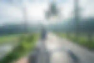 Person fährt mit dem Fahrrad durch eine ländliche Straße mit Palmen und Reisfeldern