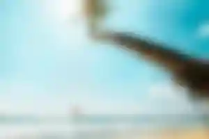 Person schaukelt an einer Palme an einem tropischen Strand