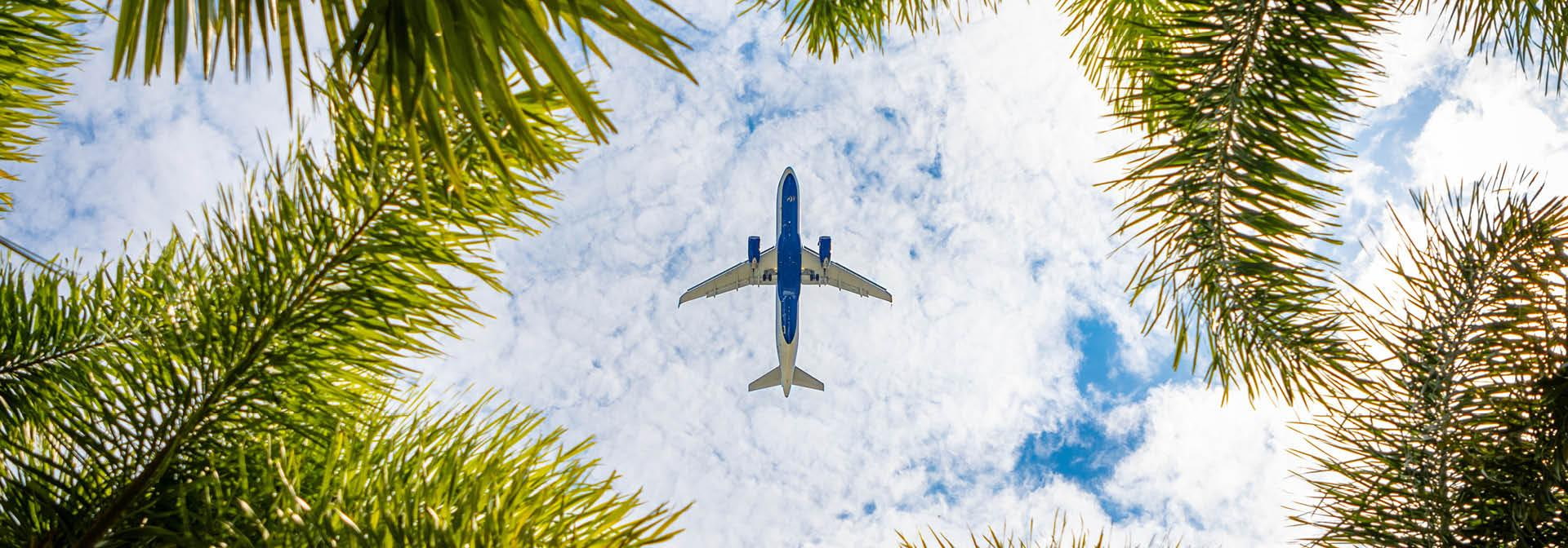 Urlaub buchen und entspannen: Flugreise in sonnige Destinationen Passagierflugzeug am Himmel, eingerahmt von grünen Palmenblättern vor blauem Himmel mit Wolken