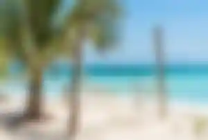 Hängematte zwischen Palmen an einem weißen Sandstrand auf Sansibar mit klarem türkisfarbenem Wasser