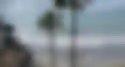 Treppe zum Strand mit zwei Palmen und Blick auf das Meer auf den Kanaren
