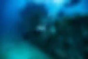 Taucher erkunden ein Schiffswrack beim Tauchen auf den Malediven im klaren Ozean