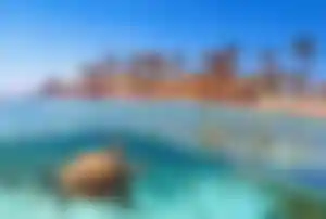 Meeresschildkröte im kristallklaren Roten Meer bei Marsa Alam mit Korallenriffen und Strand in Ägypten