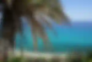 Blick auf den Playa de Esquinzo mit türkisfarbenem Meer und Palme auf Fuerteventura