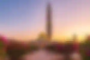 Große Moschee mit beleuchtetem Minarett und goldener Kuppel bei Sonnenuntergang, umgeben von blühenden Sträuchern und gepflegten Gartenanlagen