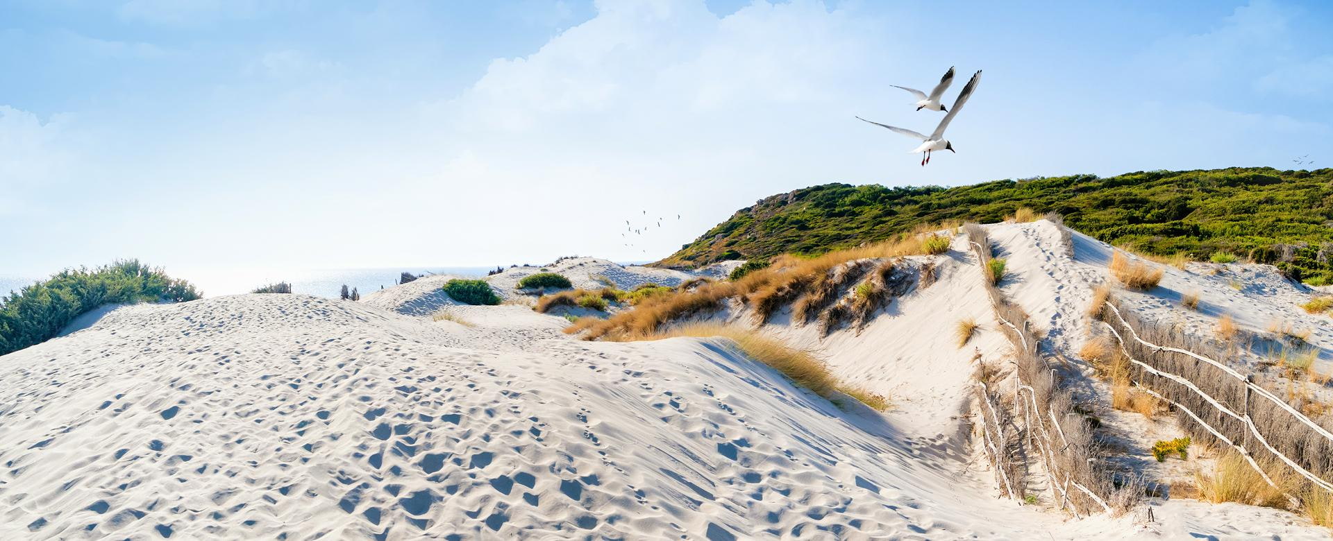 Ostküste Deutschlands, Usedom