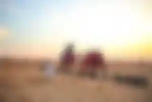Kamelritt bei Wüstensafari in Dubai mit Reisenden und Wüstenlandschaft bei Sonnenuntergang
