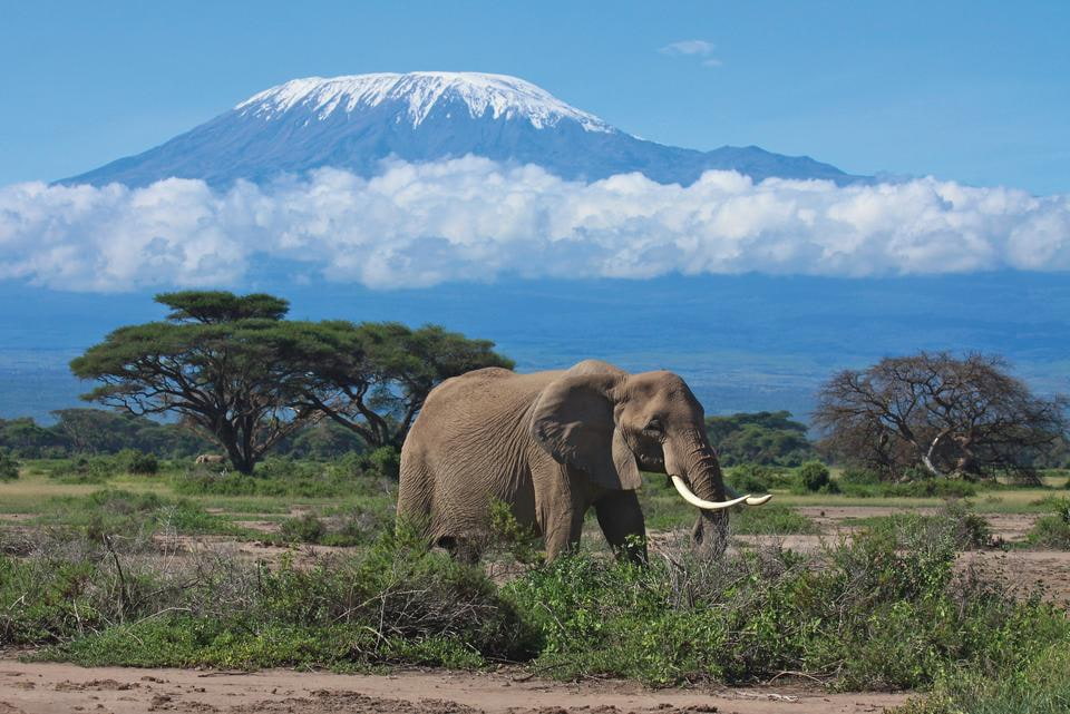Kilimanjaro Trekking