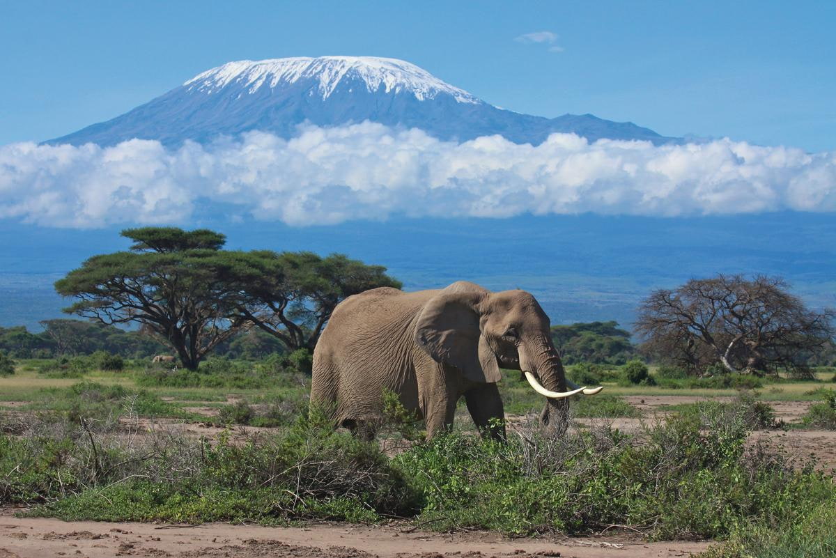 Kenya Mount Kilimanjaro