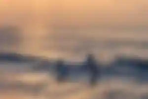 Zwei Delfine springen über Wellen im Meer bei Sonnenuntergang mit goldenem Licht auf den Malediven
