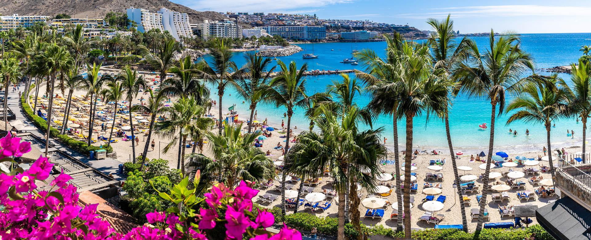 Gran Canaria Anfi Beach