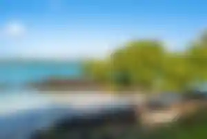 Blick auf eine kleine Bucht bei Grand Baie mit türkisblauem Wasser, Felsen und einem schattigen Baum am Strand.