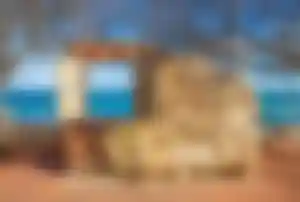 Kunstinstallation an der Promenade von Cala Millor auf Mallorca mit steinernem Rahmen und Fensterblick auf das türkisfarbene Meer, umgeben von Bäumen.