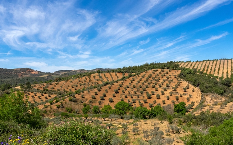 Reise nach Portugal