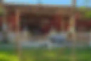 Außenbereich eines Hotels in Hurghada mit überdachtem Restaurant und einer Katze auf der Grünfläche