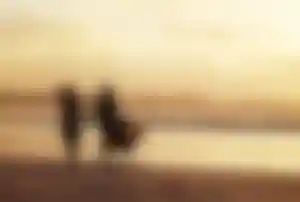 Zwei Personen spazieren bei Sonnenuntergang Hand in Hand an einem breiten Sandstrand am Meer