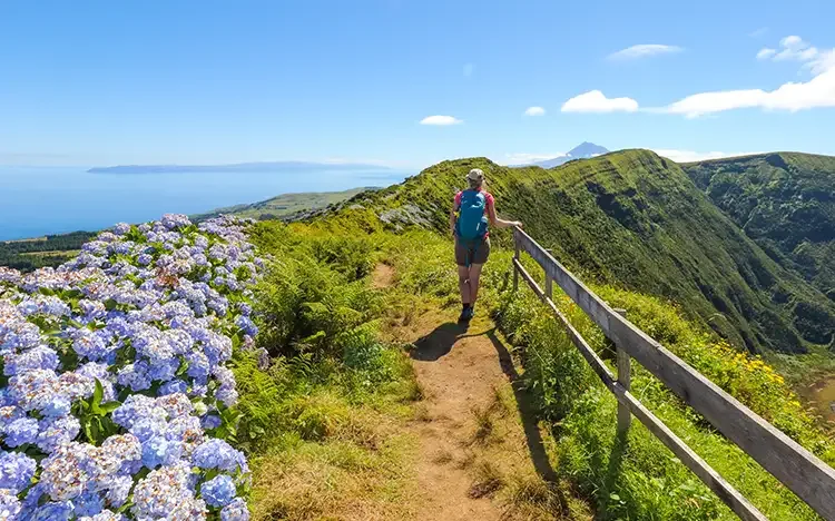 Wanderer auf einem Bergpfad mit Hortensien und Blick auf die Vulkanlandschaft der Insel Faial.