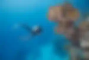 Taucher schwimmt über ein farbenreiches Korallenriff beim Tauchen auf den Malediven