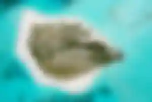 Luftaufnahme der Insel Veyvah im Lhaviyani-Atoll auf den Malediven mit weißem Sand und türkisem Meer