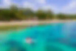 Türkisfarbenes Meer, heller Sandstrand und tropische Palmen auf Mauritius mit einem Tretboot im Wasser – beliebtes Reiseziel für Weihnachten unter Palmen.