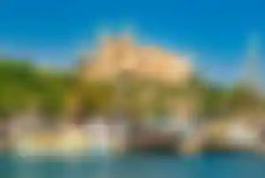 Boote im Hafen von Palma de Mallorca mit Blick auf die Kathedrale La Seu und Palmen