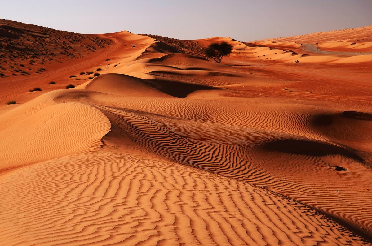 Oman Wakiba Wüste