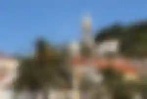Mediterrane Altstadt in Kroatien mit Palmen und historischem Kirchturm