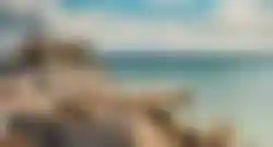 Weiß-blaue Häuser am Mittelmeer in Tunesien mit Blick auf das türkisfarbene Meer und blauen Himmel