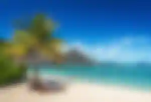 Strandurlaub im Herbst: Traumstrand auf Mauritius Palmenstrand auf Mauritius mit weißem Sand, türkisfarbenem Meer und Sonnenschirm – perfektes Fernreiseziel mit warmen und sonnigen Temperaturen im Herbst