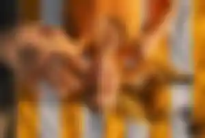 Entspannter Strandurlaub mit Sonne und Erholung Person liegt auf einem gestreiften Strandtuch im Sand und streckt eine Hand in Richtung Kamera, Sonnenbrille neben dem Tuch